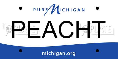 PEACHT Michigan License Plate