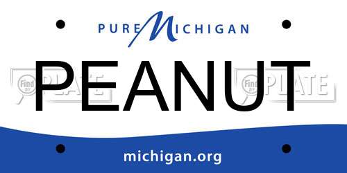 PEANUT Michigan License Plate