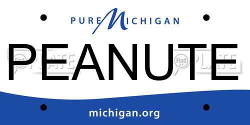 PEANUTE Michigan License Plate