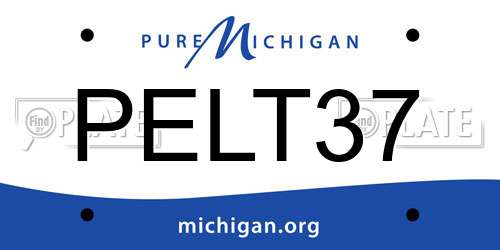 PELT37 Michigan License Plate
