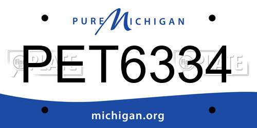 PET6334 Michigan License Plate