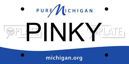 PINKY Michigan License Plate