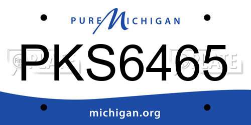PKS6465 Michigan License Plate