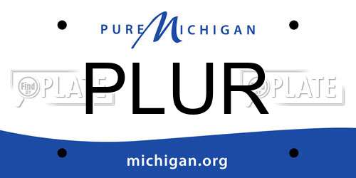PLUR Michigan License Plate