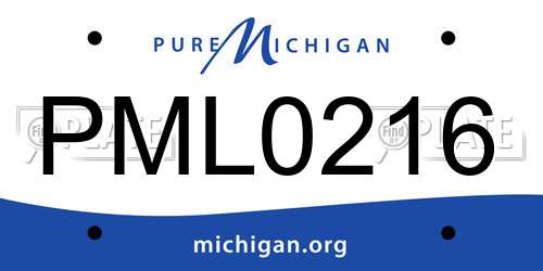 PML0216 Michigan License Plate