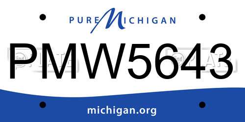 PMW5643 Michigan License Plate