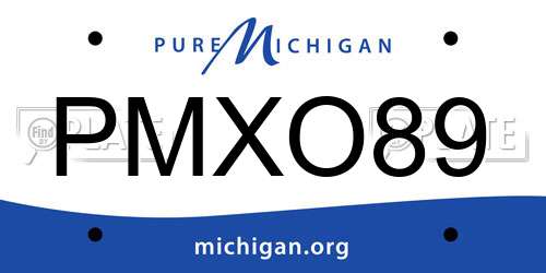 PMXO89 Michigan License Plate