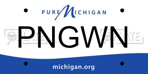 PNGWN Michigan License Plate
