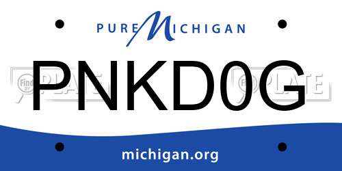 PNKD0G Michigan License Plate