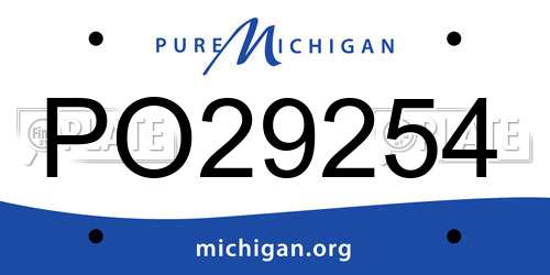 PO29254 Michigan License Plate