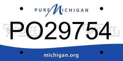 PO29754 Michigan License Plate