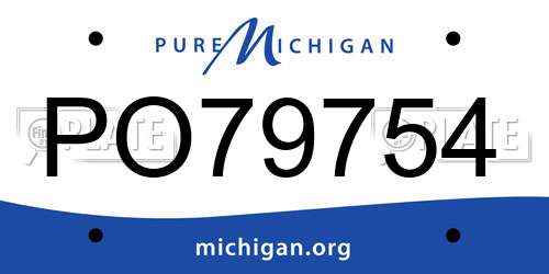 PO79754 Michigan License Plate