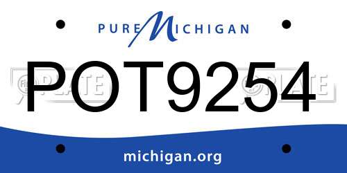 POT9254 Michigan License Plate