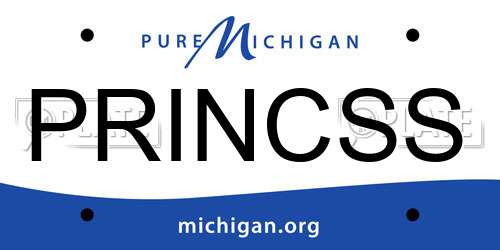 PRINCSS Michigan License Plate