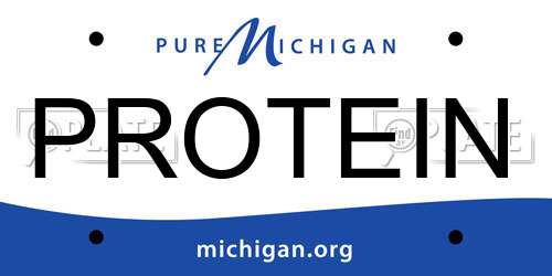 PROTEIN Michigan License Plate