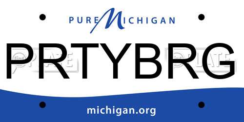 PRTYBRG Michigan License Plate
