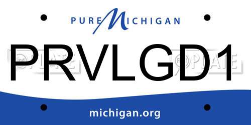 PRVLGD1 Michigan License Plate