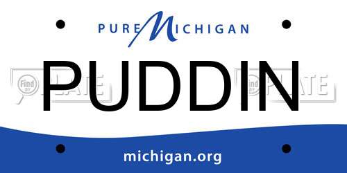 PUDDIN Michigan License Plate