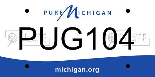 PUG104 Michigan License Plate