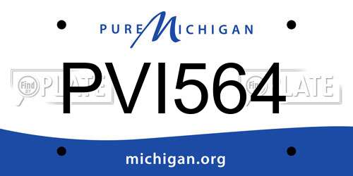 PVI564 Michigan License Plate