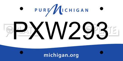 PXW293 Michigan License Plate