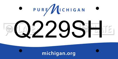 Q229SH Michigan License Plate