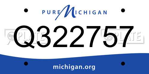 Q322757 Michigan License Plate