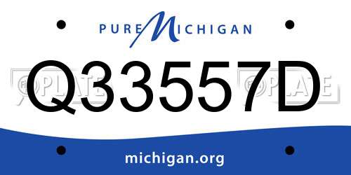 Q33557D Michigan License Plate