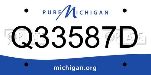 Q33587D Michigan License Plate