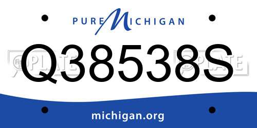 Q38538S Michigan License Plate