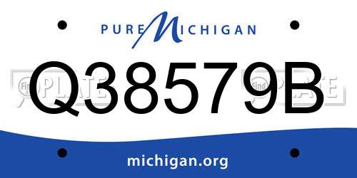 Q38579B Michigan License Plate