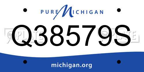 Q38579S Michigan License Plate
