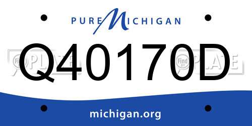 Q40170D Michigan License Plate