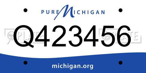 Q423456 Michigan License Plate