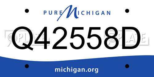 Q42558D Michigan License Plate