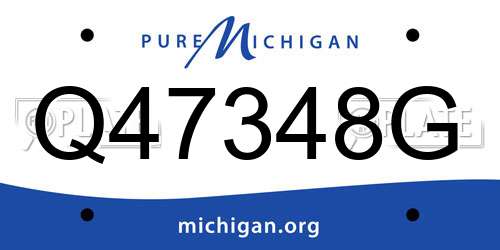 Q47348G Michigan License Plate