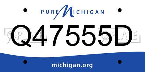 Q47555D Michigan License Plate