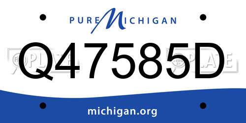 Q47585D Michigan License Plate