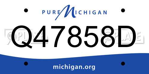 Q47858D Michigan License Plate
