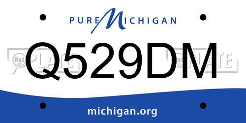 Q529DM Michigan License Plate