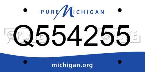 Q554255 Michigan License Plate