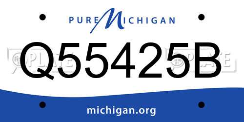 Q55425B Michigan License Plate
