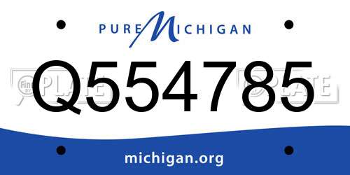 Q554785 Michigan License Plate