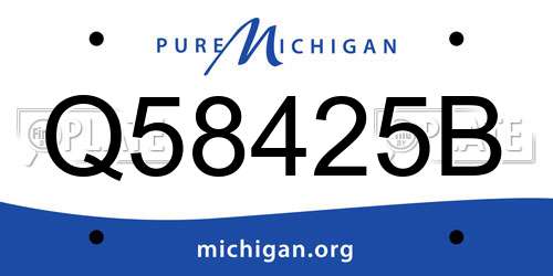 Q58425B Michigan License Plate