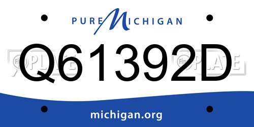 Q61392D Michigan License Plate