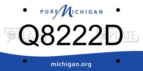 Q8222D Michigan License Plate