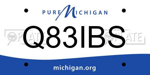 Q83IBS Michigan License Plate