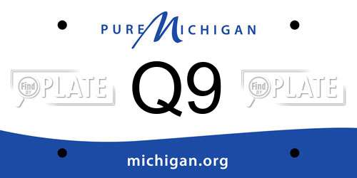 Q9 Michigan License Plate