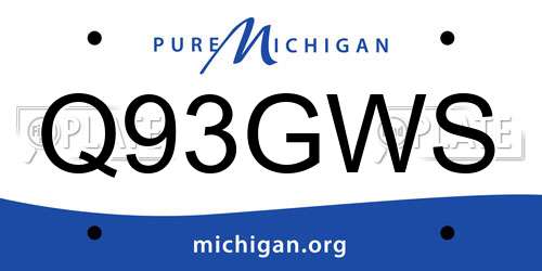 Q93GWS Michigan License Plate