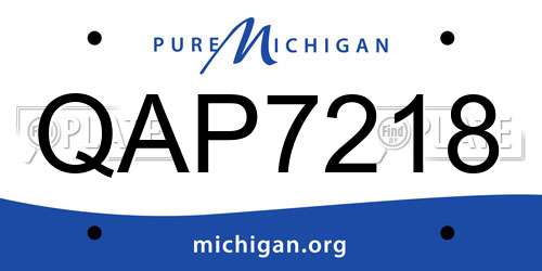 QAP7218 Michigan License Plate